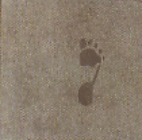 Foot Print A2 60x60